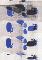 http://www.daniel-bischoff.net/files/gimgs/th-89_Riso 044 79 x 112mm.jpg